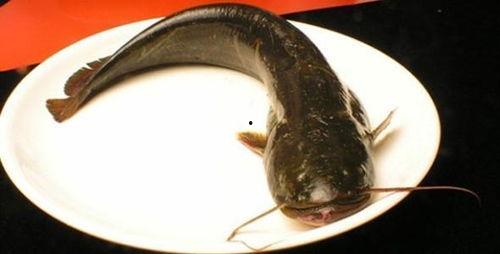 韩国鲶鱼爆料视频大全下载,揭秘娱乐圈幕后真相  第1张